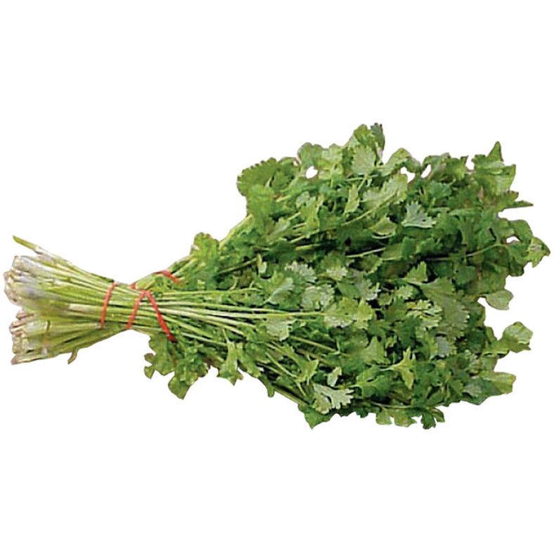 Cilantro (Wet) - 4 ct