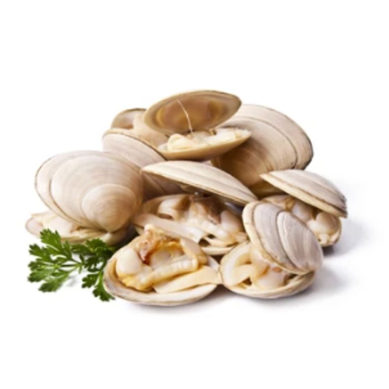 rd-26360858-netuno-27-to-36-count-wicked-clams-16-oz