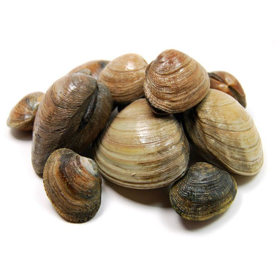 rd-24809119-7-9-littleneck-clams-36-ct