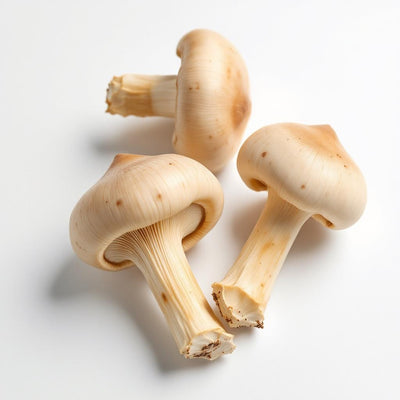 Straw Mushroom