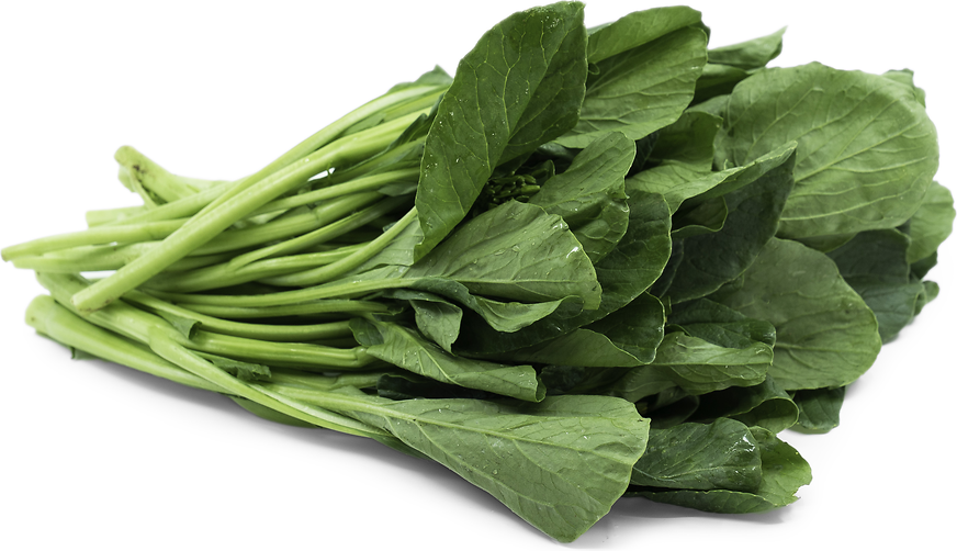 Yu Choy